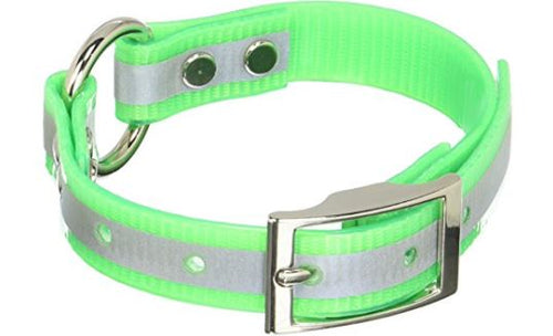 Omnipet Sunglo Reflective Ring-in-Center Wide Dog Collar (1 x 19)