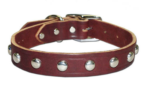Omnipet Studded Latigo Collar #100LS