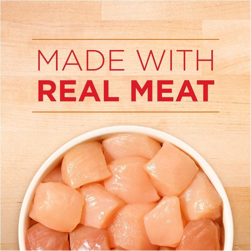 Purina ONE Tender Cuts Wholesome Chicken Canned Dog Food