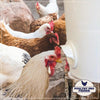 Riverbend Resources Poultry Pro Feeder