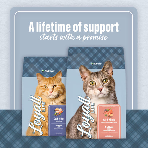 Nutrena® Loyall Life® Cat & Kitten Chicken Recipe