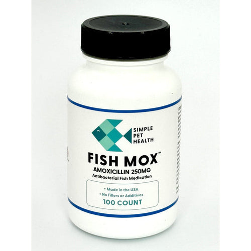 Fish Mox  Amoxicillin