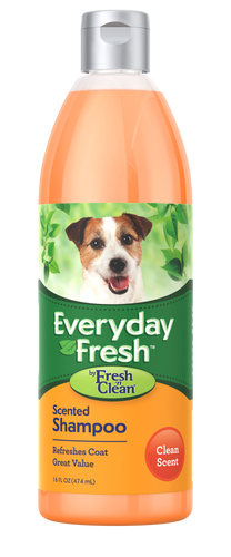 Everyday Fresh™ by Fresh ’n Clean® - Scented Shampoo - Clean Scent