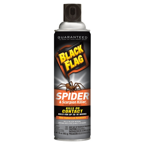 BLACK FLAG SPIDER & SCORPION KILLER SPRAY