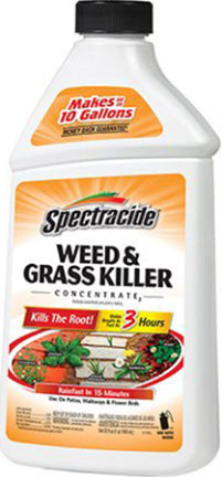 WEED & GRASS KILLER  CONCT. 32 OZ