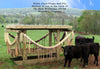 P H White Cow Life Cattle Rub Feeders & Plans