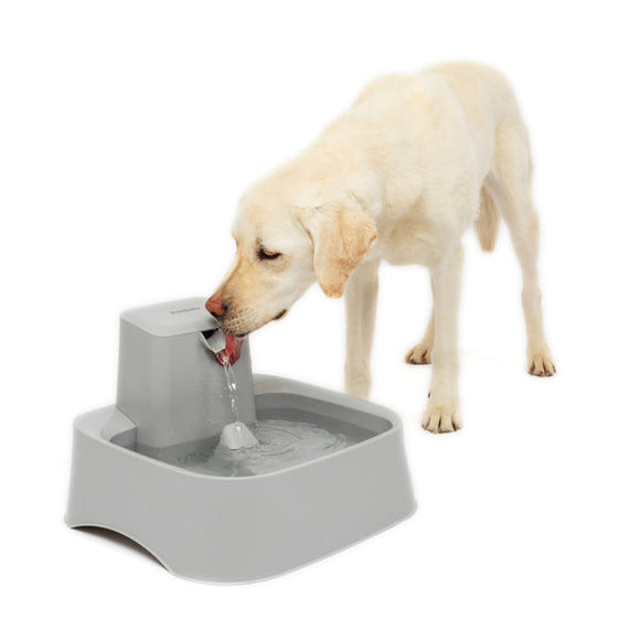 PetSafe Drinkwell® 2 Gallon Pet Fountain